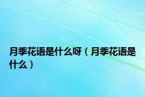 月季花语是什么呀（月季花语是什么）