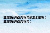 赶黄草的功效与作用能泡水喝吗（赶黄草的功效与作用）