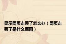 显示网页走丢了怎么办（网页走丢了是什么原因）