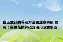 白玉兰花的养殖方法和注意事项 盆栽（白兰花的养殖方法和注意事项）