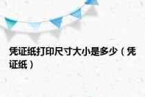 凭证纸打印尺寸大小是多少（凭证纸）