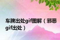 车牌出处gif图解（邪恶gif出处）