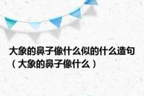 大象的鼻子像什么似的什么造句（大象的鼻子像什么）