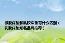 橡胶床垫和乳胶床垫有什么区别（乳胶床垫知名品牌推荐）