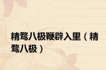 精骛八极鞭辟入里（精骛八极）