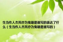 生当作人杰死亦为鬼雄是谁写的表达了什么（生当作人杰死亦为鬼雄是谁写的）