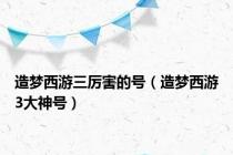 造梦西游三厉害的号（造梦西游3大神号）