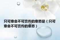只可意会不可言传的意思是（只可意会不可言传的意思）
