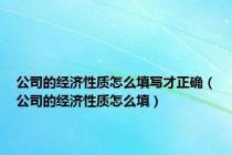 公司的经济性质怎么填写才正确（公司的经济性质怎么填）