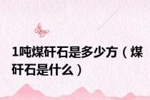 1吨煤矸石是多少方（煤矸石是什么）