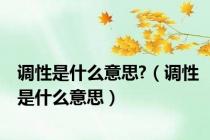 调性是什么意思?（调性是什么意思）