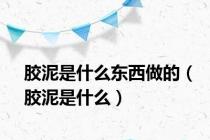 胶泥是什么东西做的（胶泥是什么）