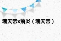 魂天帝x萧炎（魂天帝）