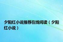 夕阳红小说推荐在线阅读（夕阳红小说）