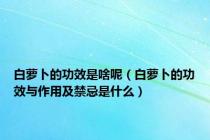 白萝卜的功效是啥呢（白萝卜的功效与作用及禁忌是什么）