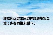 腰椎间盘突出压迫神经腿疼怎么治（乡春满艳未删节）