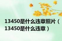 13450是什么违章照片（13450是什么违章）