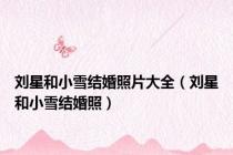 刘星和小雪结婚照片大全（刘星和小雪结婚照）