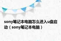 sony笔记本电脑怎么进入u盘启动（sony笔记本电脑）