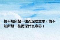 情不知所起一往而深啥意思（情不知所起一往而深什么意思）