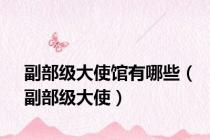 副部级大使馆有哪些（副部级大使）