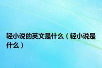 轻小说的英文是什么（轻小说是什么）