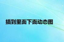 插到里面下面动态图