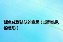 鲤鱼成群结队的意思（成群结队的意思）