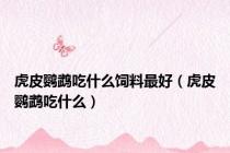 虎皮鹦鹉吃什么饲料最好（虎皮鹦鹉吃什么）