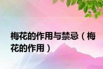 梅花的作用与禁忌（梅花的作用）