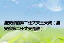 浦安修的第二任丈夫王天成（浦安修第二任丈夫是谁）