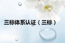 三标体系认证（三标）