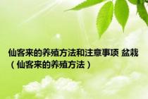 仙客来的养殖方法和注意事项 盆栽（仙客来的养殖方法）