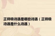 正师级待遇是哪些待遇（正师级待遇是什么待遇）