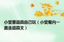 小受塞道具自己玩（小受菊内一直含道具文）