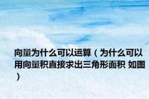 向量为什么可以运算（为什么可以用向量积直接求出三角形面积 如图）