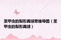 圣甲虫的梨形粪球思维导图（圣甲虫的梨形粪球）