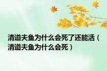 清道夫鱼为什么会死了还能活（清道夫鱼为什么会死）