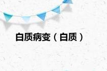 白质病变（白质）