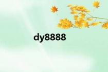dy8888
