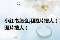 小红书怎么用图片搜人（图片搜人）