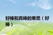 好棒和真棒的意思（好棒）