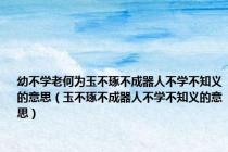 幼不学老何为玉不琢不成器人不学不知义的意思（玉不琢不成器人不学不知义的意思）