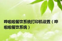 哗啦啦餐饮系统打印机设置（哗啦啦餐饮系统）