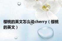 樱桃的英文怎么说cherry（樱桃的英文）