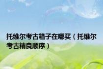 托维尔考古箱子在哪买（托维尔考古精良顺序）