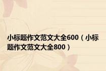 小标题作文范文大全600（小标题作文范文大全800）
