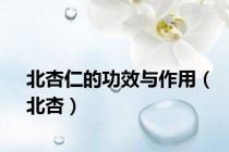 北杏仁的功效与作用（北杏）