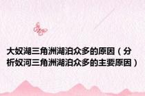 大奴湖三角洲湖泊众多的原因（分析奴河三角洲湖泊众多的主要原因）