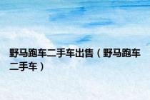 野马跑车二手车出售（野马跑车二手车）